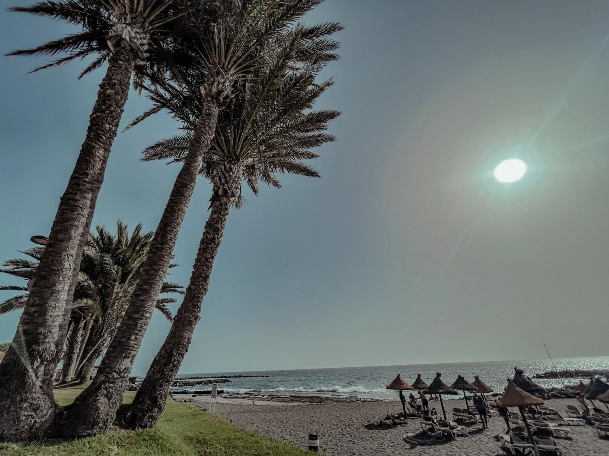 Viktoria Sur Apartment Playa de las Americas  Exterior photo