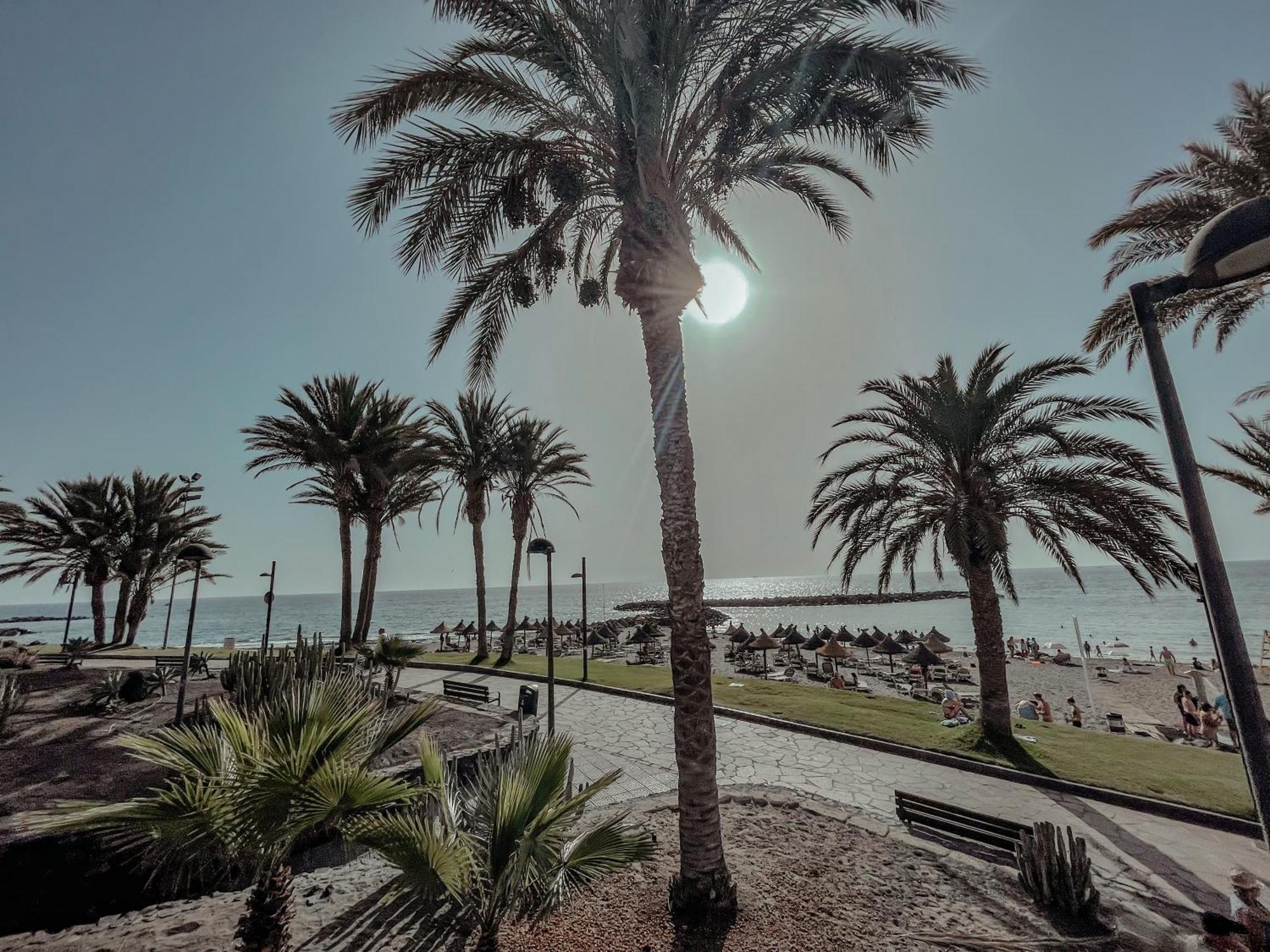 Viktoria Sur Apartment Playa de las Americas  Exterior photo